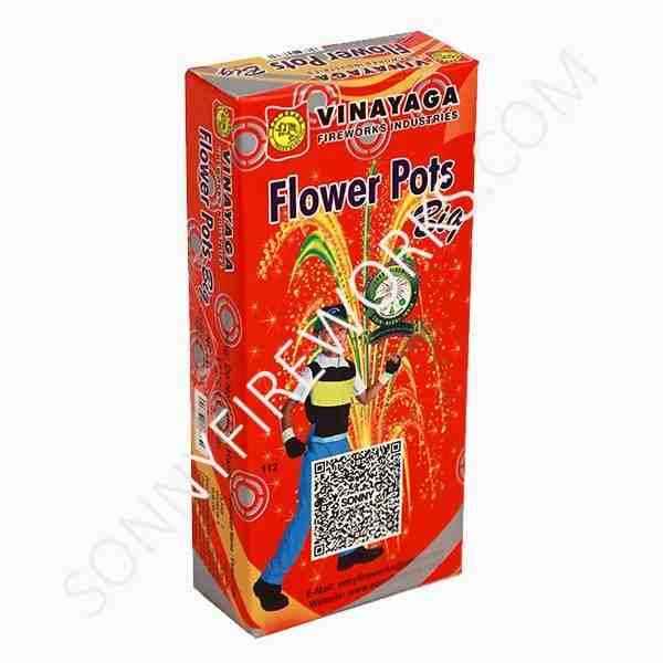 Flower Pots Big
