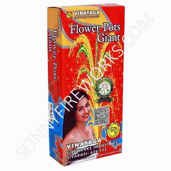 Flower Pots Giant